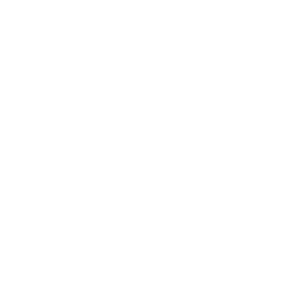 دیوار
